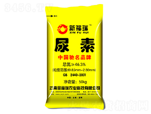 ����-�¸���-����