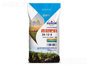 �������28-12-8-����ֵ�-�֝����S