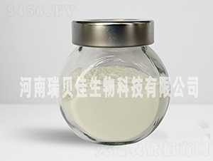 �����������-��ؐ������