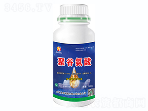 �۹Ȱ���-�W�׵�˹