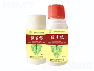 ������-��(bi��o)������