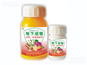 ���³ɶ�-��(bi��o)������