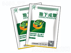 ���³ɶշۄ�-��(bi��o)������