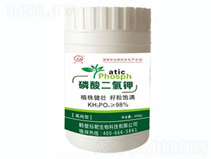 ��������-�˰�����