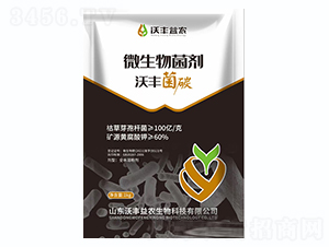 ΢�������-���S��̼-���S���r(n��ng)