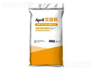 �����ԏ�(f��)�Ϸ���-���V��-������M(j��n)����