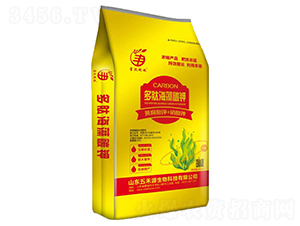 ���ĺ���̼�-���Դ����