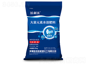 ����Ԫ��ˮ�ܷ���13-31-6-������-���B��