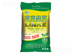 ������|(zh��)-�����ؿ�