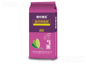 ���}��V��-���r(n��ng)�ט�-�Ϻ��r(n��ng)��