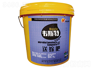 Һ�w�ͼ޷�-�f˹��-���r(n��ng)�I(y��)