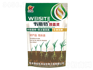 �紲��w�`-�f˹��-���r(n��ng)�I(y��)