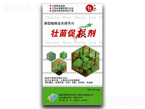 ����ٸ���-�R���r(n��ng)��