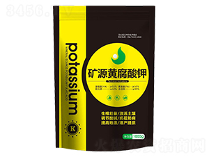 �VԴ�S�����-��������