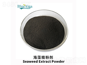 ���徫�ۄ�-���u�{(l��n)��