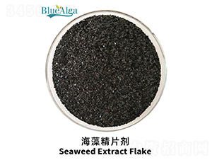 ���徫Ƭ��-���u�{(l��n)��