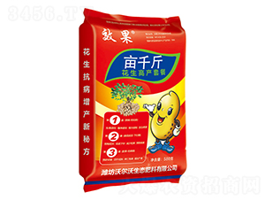 �����߮a�ײ�-��ǧ��-������