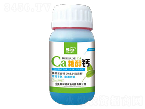 �Ǵ��}-������