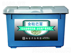 �����������a�ײ�-ȫ���Ѹ�-�d���r�I(y��)