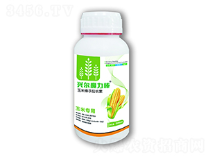 ���װ������L��-�d��ħ����-�d���r(n��ng)�I(y��)