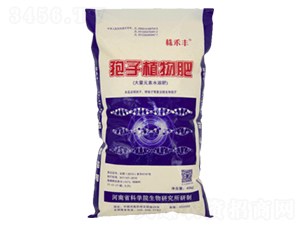 ����ֲ���17-17-17-����S-��˹��