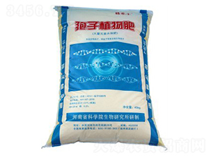 ����ֲ���19-28-4-����S-��˹��