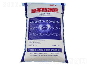 ����ֲ���20-24-7-����S-��˹��