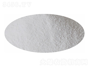 ����һ�@-�P�����d