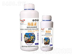 ������-����ʩ