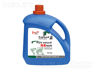 �����ЙC(j��)�}-����ʩ