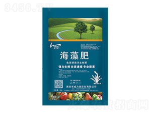 �����-����ʩ