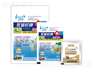 ���砀������120-����ʩ