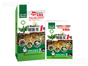 ���t(y��)��1̖-����ʩ