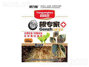 ������-����ʩ