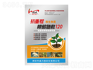 ��������120-����ʩ