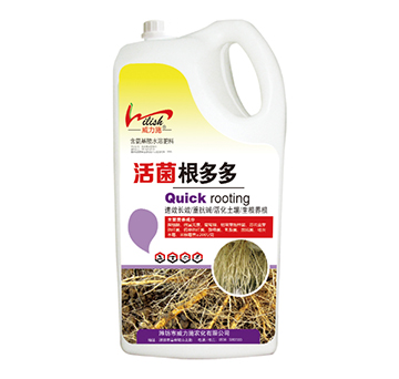 5kg��������-����ʩ