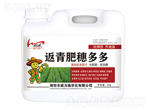 ���������-����ʩ