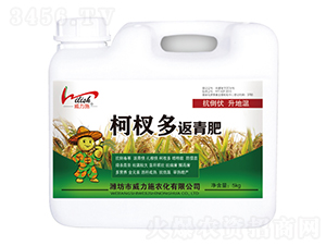 ��辶෵���-����ʩ