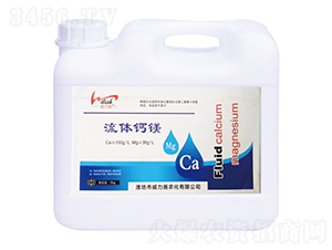 ���w�}�V-����ʩ