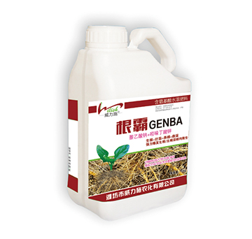 ����-����ʩ