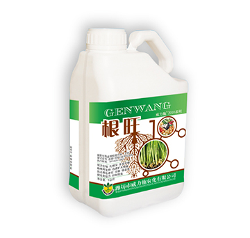 ����-����ʩ