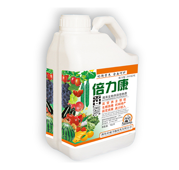 ������-����ʩ