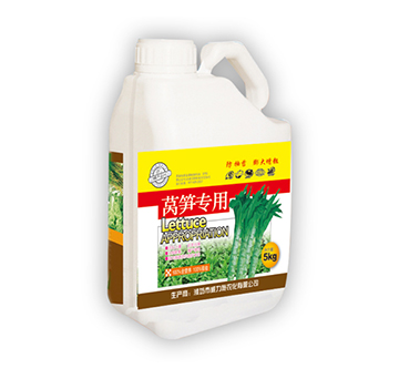 �n�S����-����ʩ