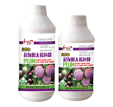 ���A����������ɫ�n-����ʩ