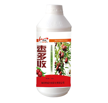 1000g���S��-����ʩ