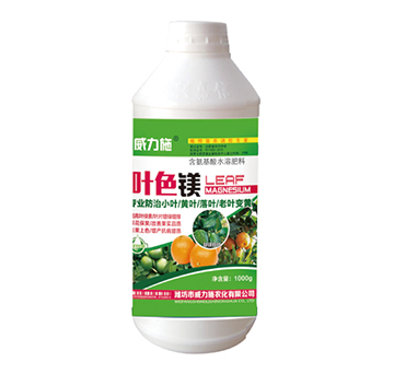 �~ɫ�V-����ʩ