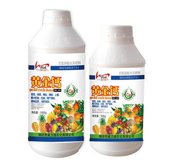 �S���}-����ʩ