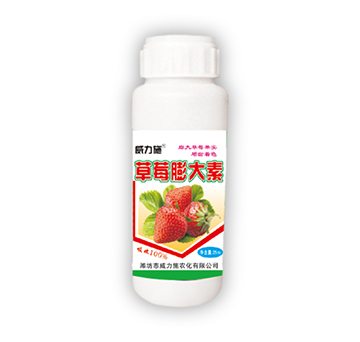 ��ݮ�����-����ʩ