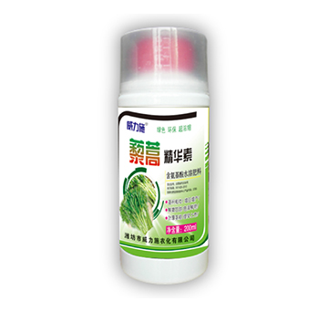 ޼�ﾫ�A��-����ʩ