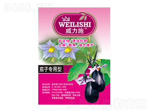 ���ӌ�����-����ʩ